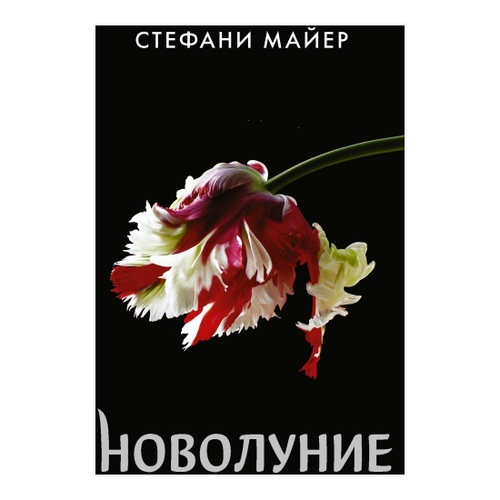 Новолуние (новое оформление), изд.: АСТ, авт.: Майер С., серия.: Стефани Майер: Возвращение