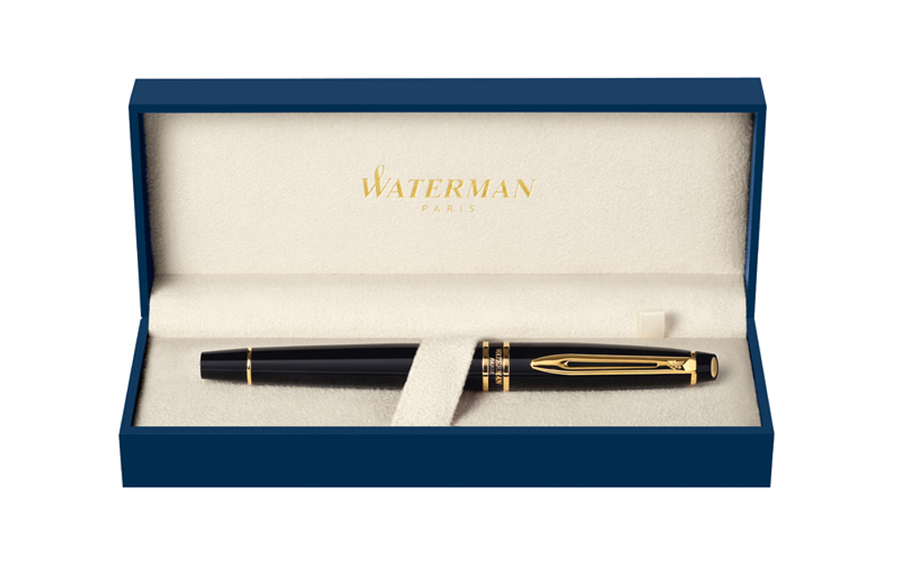 Перьевая ручка Waterman Expert Precious line, Black and Palladium CT