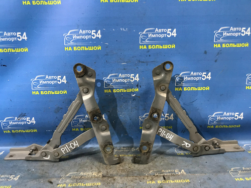 Петля багажника NISSAN PRIMERA 1999