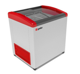 Ларь морозильный Frostor GELLAR FG 250 E