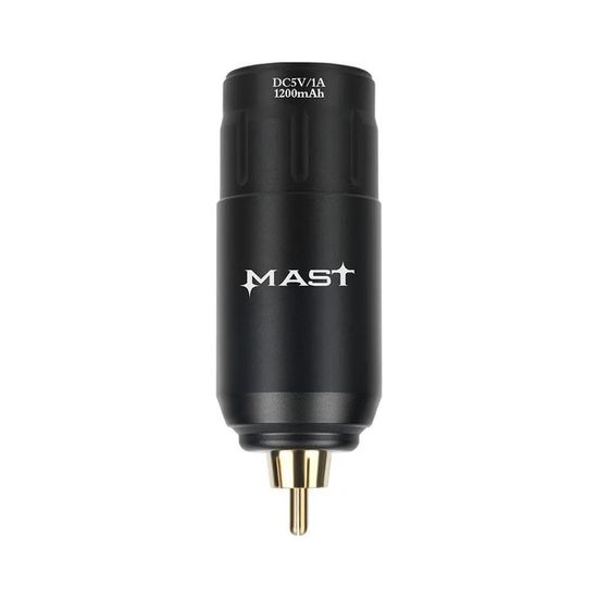 Аккумуляторный блок питания Mast P 113 (RCA)