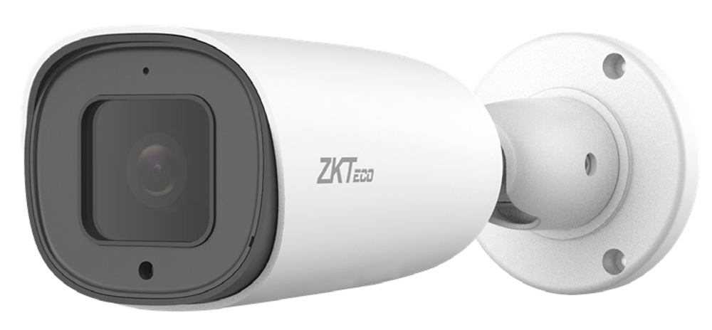 IP Камера ZKTeco BL-855L38S-E3