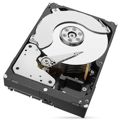 SAS  8TB - 10TB