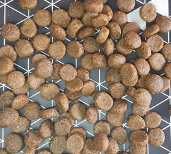 внешний вид корма