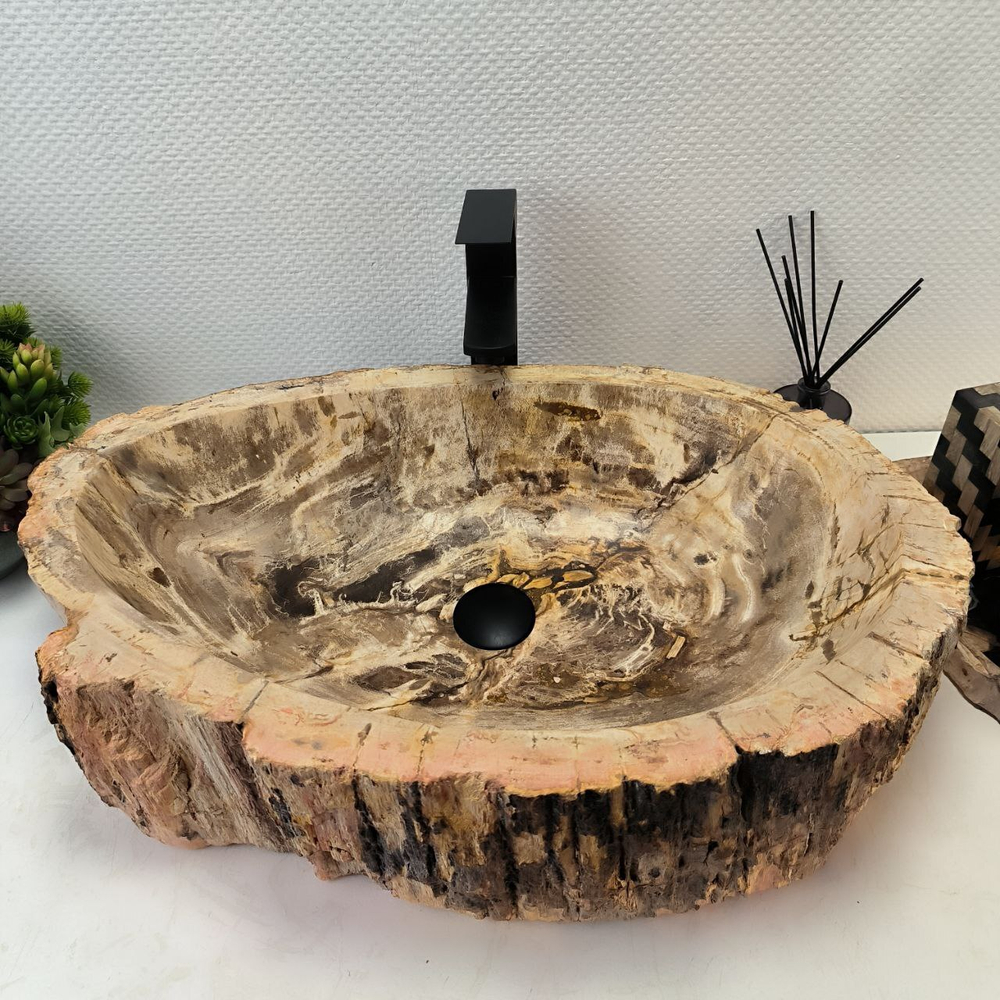 Раковина из окаменелого дерева FossilBasin OD-62388 68*43*16