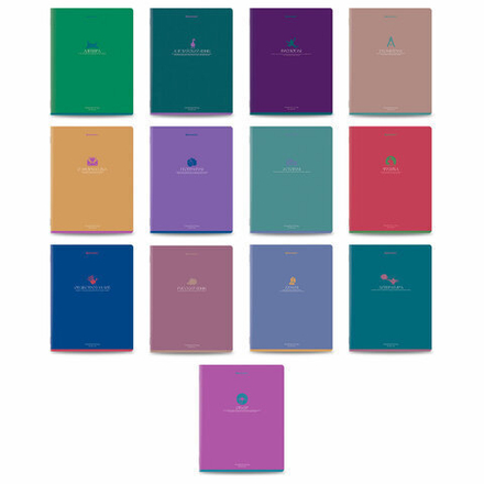 Тетради предметные, КОМПЛЕКТ 13 ПРЕДМЕТОВ, 48 л., матовая ламинация, BRAUBERG "MONOCOLOR", 405175