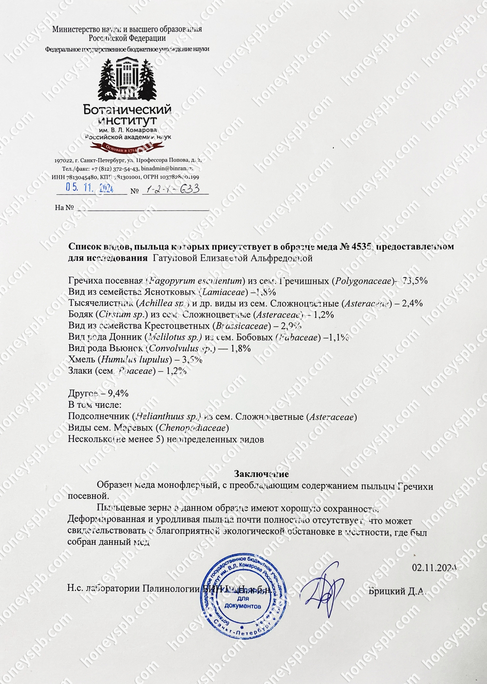 Гречишный мёд 2024г