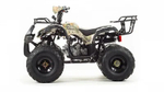Квадроцикл MOTOLAND 125 FOX