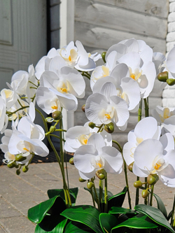 Искусственные Орхидеи белые 7 веток 50см в кашпо Лофт