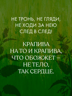 Крапива