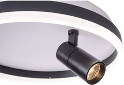 Накладной светильник Zortes Raizy ZRS.1888.03