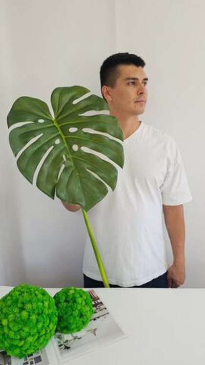 Лист монстеры / Арт 9081