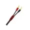 AudioQuest Type 9 + DBS FR-SPADEG 2.0 m