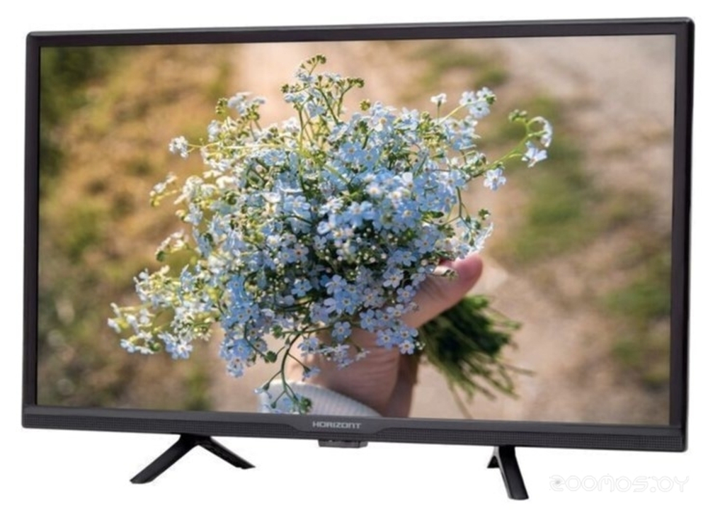 Телевизор Horizont 24LE5011D