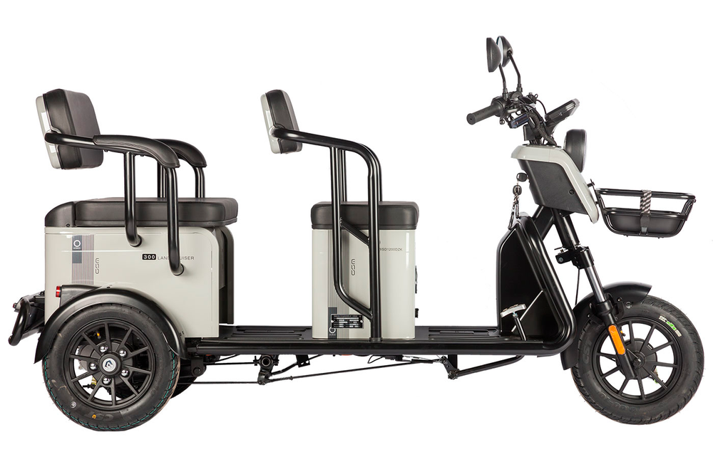 Электротрицикл Wanshida LC300 (1000Вт, 60B)