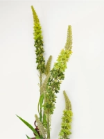 Композиция настенная с цветами в металлической клетке