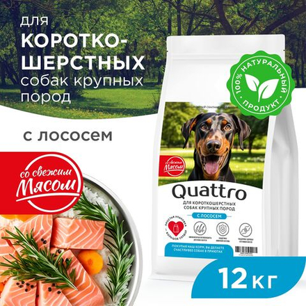 Корм сухой для взрослых собак крупных пород, премиум полнорационный комплекс, для короткошерстных собак, с лососем, 12 кг, QUATTRO