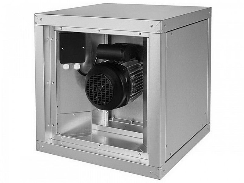 IEF 250D