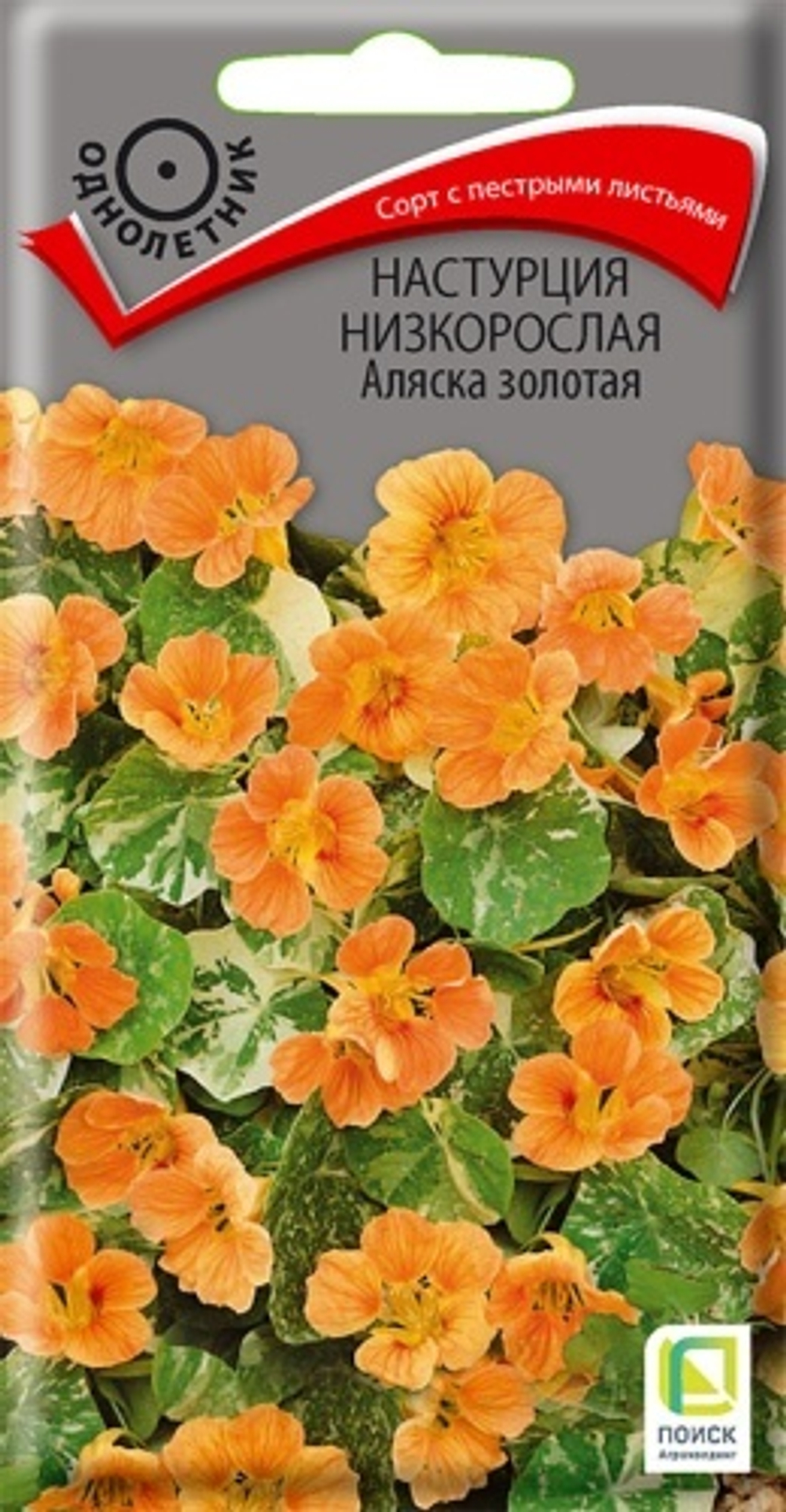 Настурция Аляска золотая низк. 1г Ц Поиск