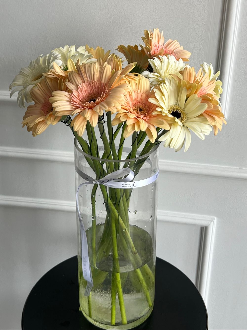 Гербера в кремовом оттенке от 1 шт