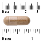 Swanson Vitamins, Full Spectrum™, средство на основе трав для поддержки жёлчного пузыря, 60 капсул