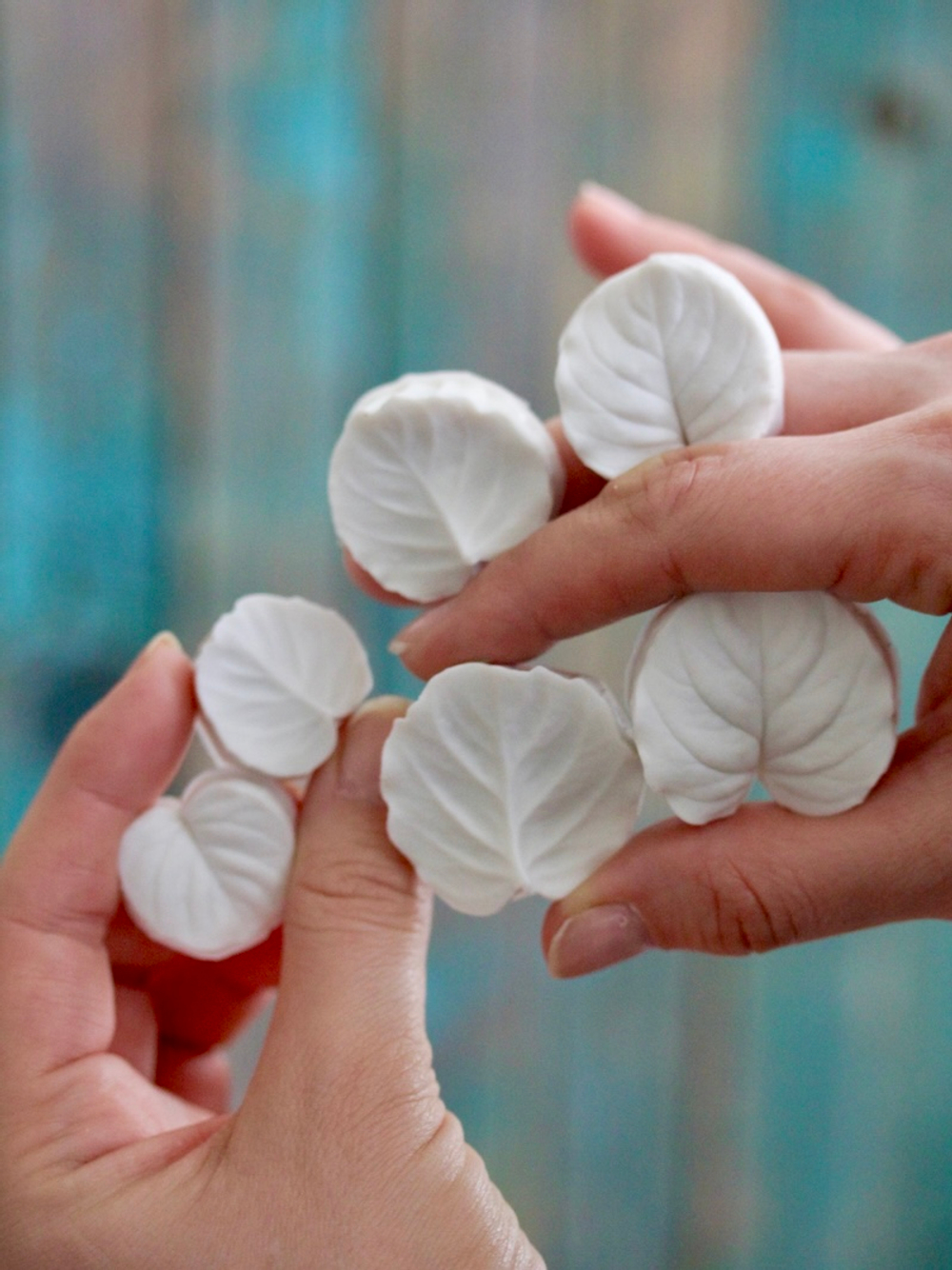 Набор вайнеров для лепки листьев эвкалипта Coprussia