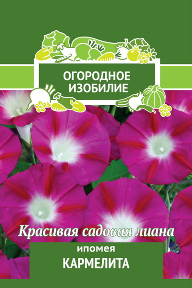 Ипомея Кармелита