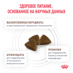 ROYAL CANIN Gastrointestinal Kitten Корм сухой для котят от 2 до 10 месяцев при нарушениях пищеварения, 400 г