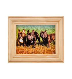 AMB-55/10 Картина «Французские бульдоги» (с янтарной крошкой) дер.рамка 7х9