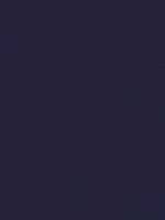 БАХИЛЫ СПЕЦИАЛЬНЫЕ ЗАЩИТНЫЕ BASK OVERBOOTS ARMOR PRO