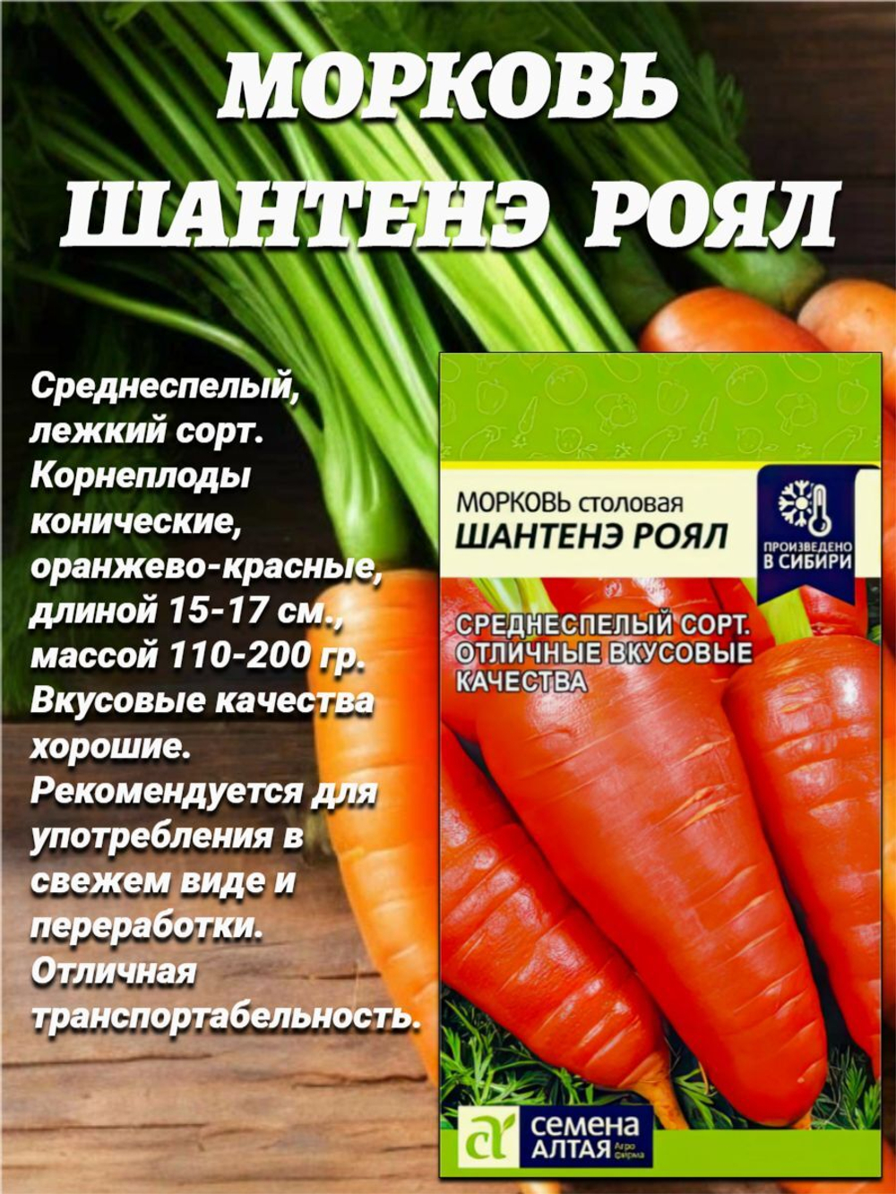Набор лучших сортов моркови. Семена Алтая