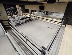 Ринг боксерский TARGEX на помосте высотой 0,5 м