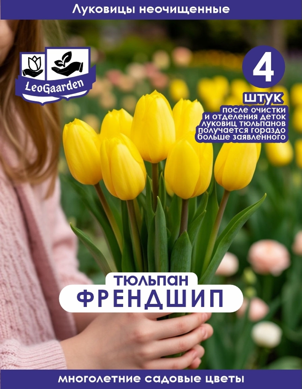 Тюльпан Луковица, Френдшип 1998, 4шт крупные