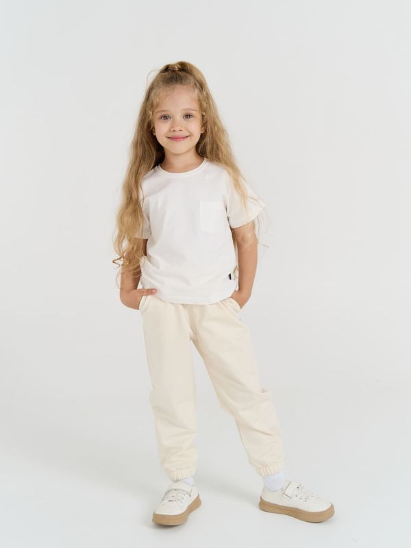 Джоггеры облегченные 