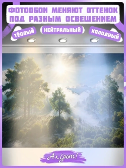 3D Фотообои утренний лес в тумане