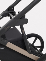 Коляска 2 в 1 Rant Garda