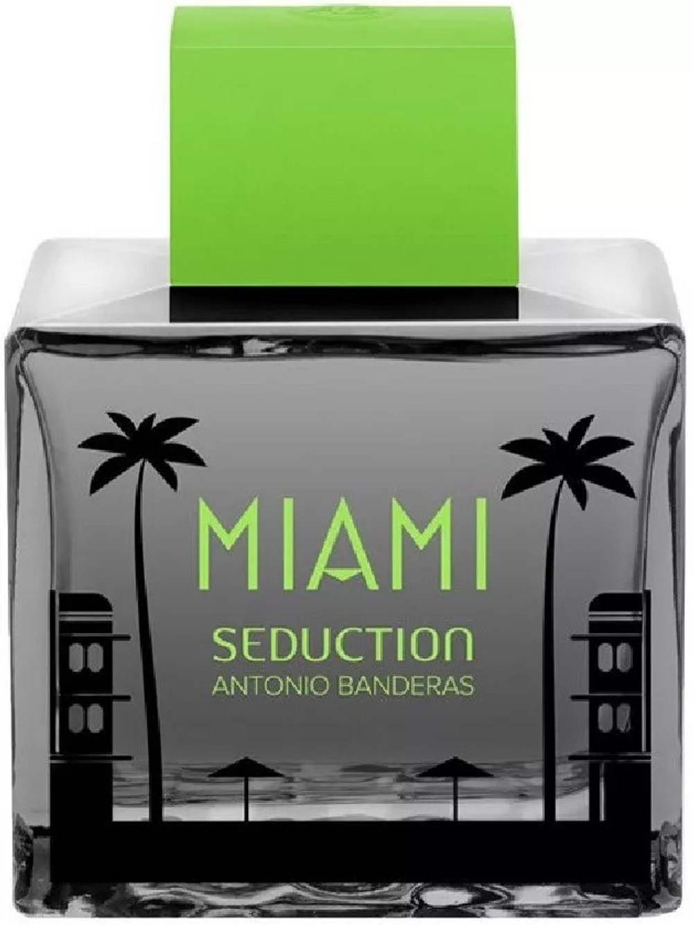 Antonio Banderas Miami Seduction In Black Man