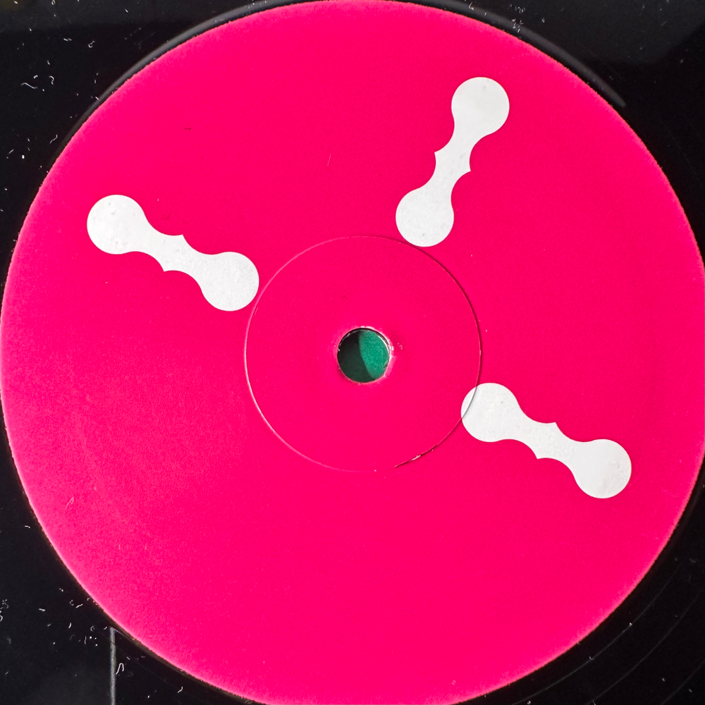Björk ‎– Declare Independence (Европа 2008г.) 2х12", 45 RPM, CD, DVD