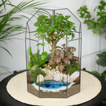 Готовый флорариум бонсай Лигуструм Бонсариум с озером