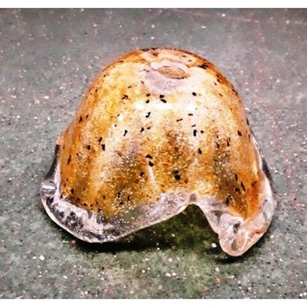 Плафон стеклянный "Ракушка"