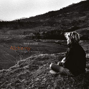 David Sylvian / Alchemy - An Index Of Possibilities (LP)
