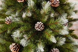 Сосна Женева заснеженная с шишками 155 см., леска+пвх, Triumph Tree (73116)