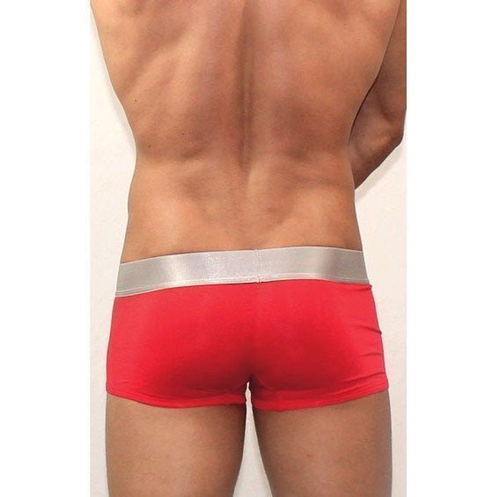 Мужские трусы хипсы Calvin Klein Mens модал Steel Red CK00059