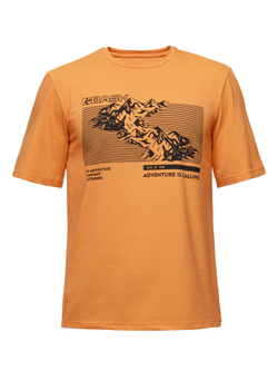 ФУТБОЛКА МУЖСКАЯ BASK TOPOGRAPHY MT