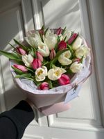 Букет из 25 белых и ярко-розовых тюльпанов
