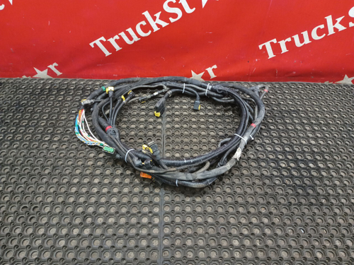 Проводка шасси основная 2019г