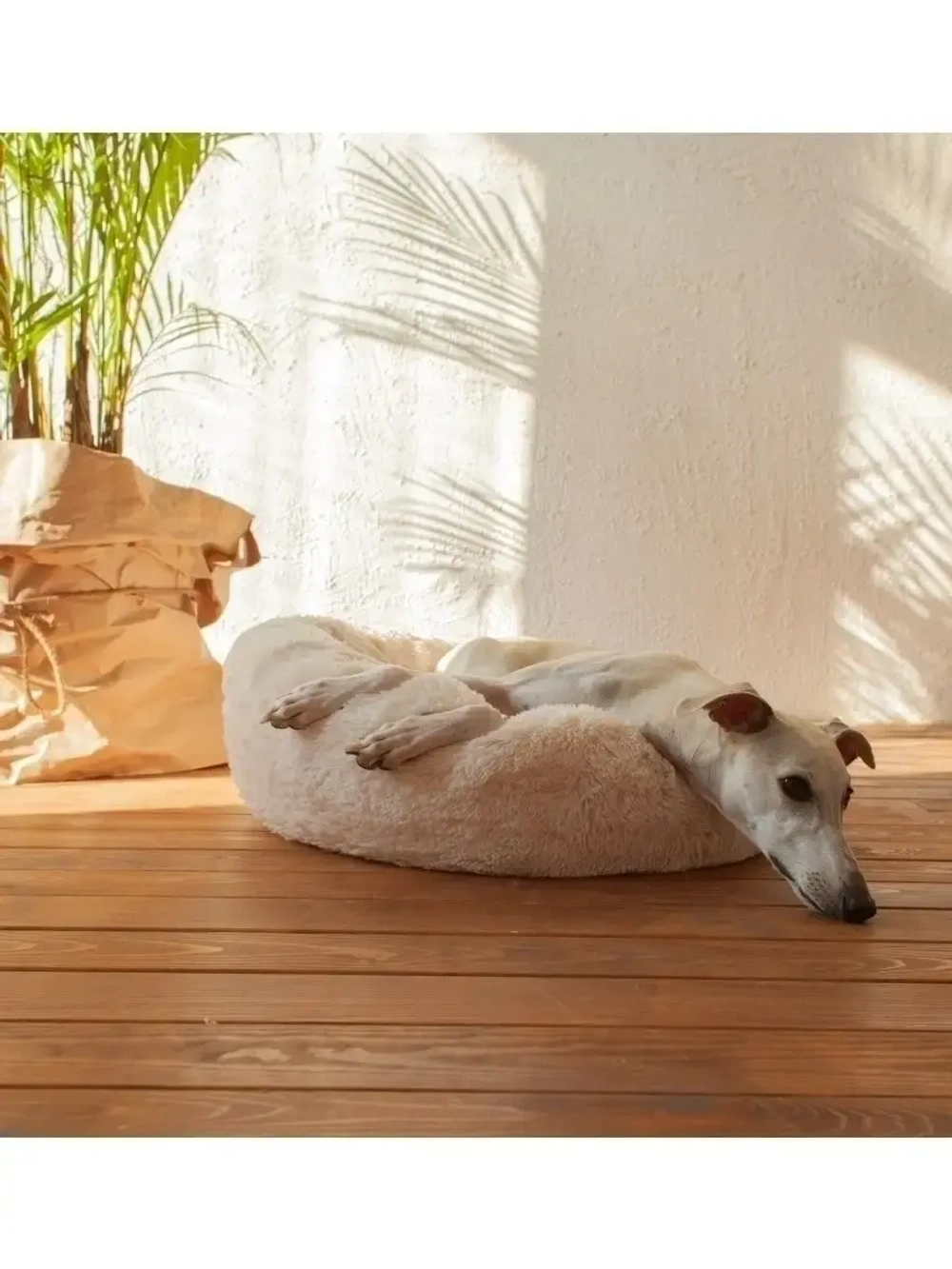 Лежанка для кошек лежак для собак домик