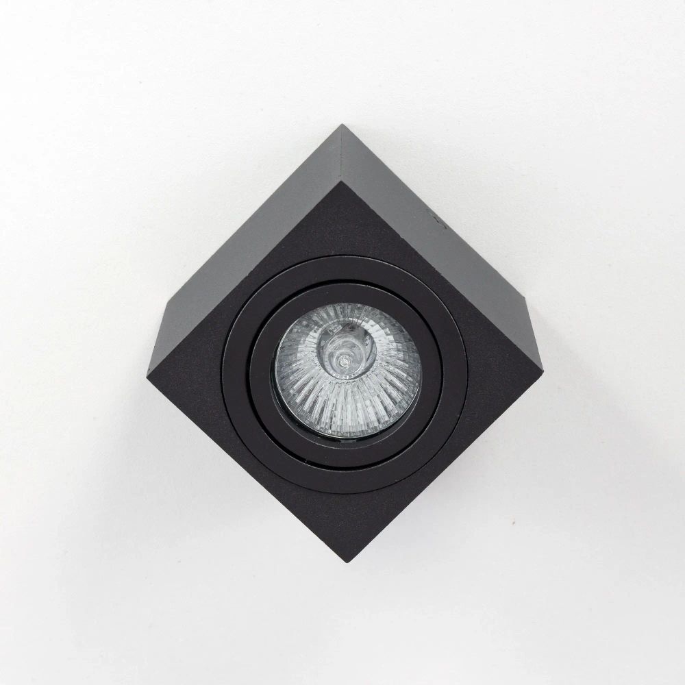 Citilux Дюрен CL538213 Светильник накладной поворотный Чёрный