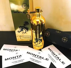 Montale Arabians
