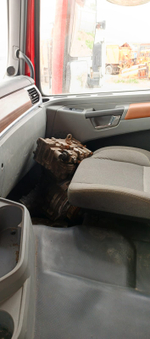Shacman (Shaanxi) SX* 8x4 Самосвал SX331863366 (Дизельный, 12,5 л, 544 л.с., МТ)